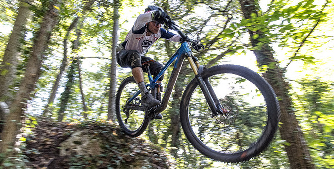 JOLY 469369 JOLY 469369