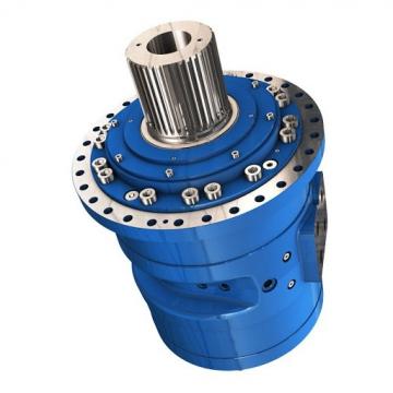 Gehl 603 Hydraulic Final Drive Motor